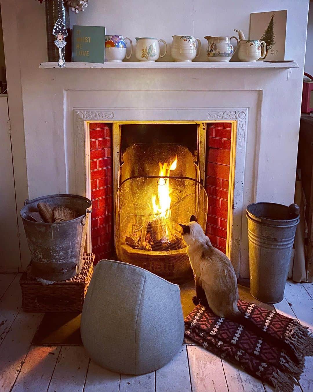 Tea and sittingのインスタグラム：「... I don’t even know how to start this post but I just have to let you know that we lost my beautiful, loving, funny and constant companion The Cheeks yesterday morning...we had an amazing home vet and Cheeks was peacefully asleep in his furry pod by the fire, one of his favourite places, when he passed away...I am heartbroken to say the least as he has seen me through some huge ups and downs in my life. He has also been an integral part of my presence here and on the #5ftinftable ever since those very early 2011 days ( the second photo on this post was taken virtually 9 years ago to the day )...This morning there is such a big hole; a house that is far too quiet and a very lonely roaring fire...But I have never been more thankful for the beautiful gift and lessons of being that this lovely, ridiculously talkative boy, never failed to give us...💔 ( Swipe across for more pics and as it’s The Cheeks you might want to turn the sound on )」