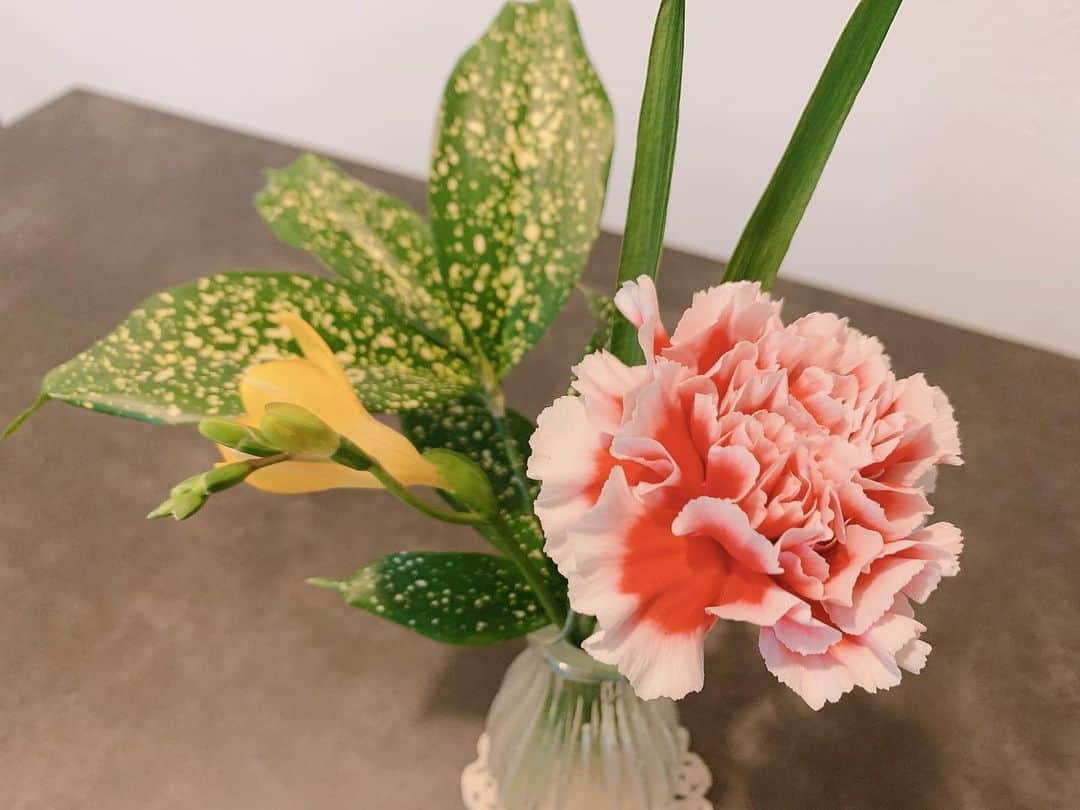 大知めぐみさんのインスタグラム写真 - (大知めぐみInstagram)「ポストに届くお花の定期便🌷✨ #bloomeelife さんからお花届きました💗 . Xmasの特別パッケージかわいい🎄💗 郵便配達員の方へのメッセージも🎅🏻✨💓 . #お花で作る自分だけのくつろぎ空間 ⸜🌷︎⸝‍ . 今回のお花は… 🌼カーネーション 🌼フリージア 🌼ドラセナ . フリージアは、これからお花が開くみたいで、お家の中でも自然を感じられて嬉しい🌷.* . 娘もお花が届く度に嬉しそうで、かわいい♥かわいい♥と喜んでくれて嬉しい☺️💓 . 毎回お手入れの仕方も教えてくれたり、栄養剤もついてるので、本当にお花が長持ちして、届く度に違うお花で楽しませてくれます💗 . 週末に届く小さなトキメキが本当に癒し☺️💕 . ご紹介のクーポンコードを使って始めると初回のお花お届けが無料になります♡\(*ˊᗜˋ*)/♡ . 毎日にちょっとした贅沢を☺️💗 500円～始められるので、お花のある生活を体験してみて下さい🌼💕 . 🌼クーポンコード：megmy 🌼有効期限：2020年12月31日 . 皆さんも素敵なクリスマスを🎅🏼🎄 . . . . . . #お花のある暮らし #お花#花#サブスクリプション #サブスク #pr#花瓶#華#花のある暮らし #flowers #お花好きな人と繋がりたい #followｍe #癒し#癒しの時間 #女の子ママ #子供のいる暮らし #赤ちゃんのいる生活 #赤ちゃんのいる暮らし #ニューボーンフォト #newbornphotography #主婦#主婦の楽しみ #自分へのご褒美 #花サブスク #ブルーミーライフ」12月18日 18時20分 - megmeg0715