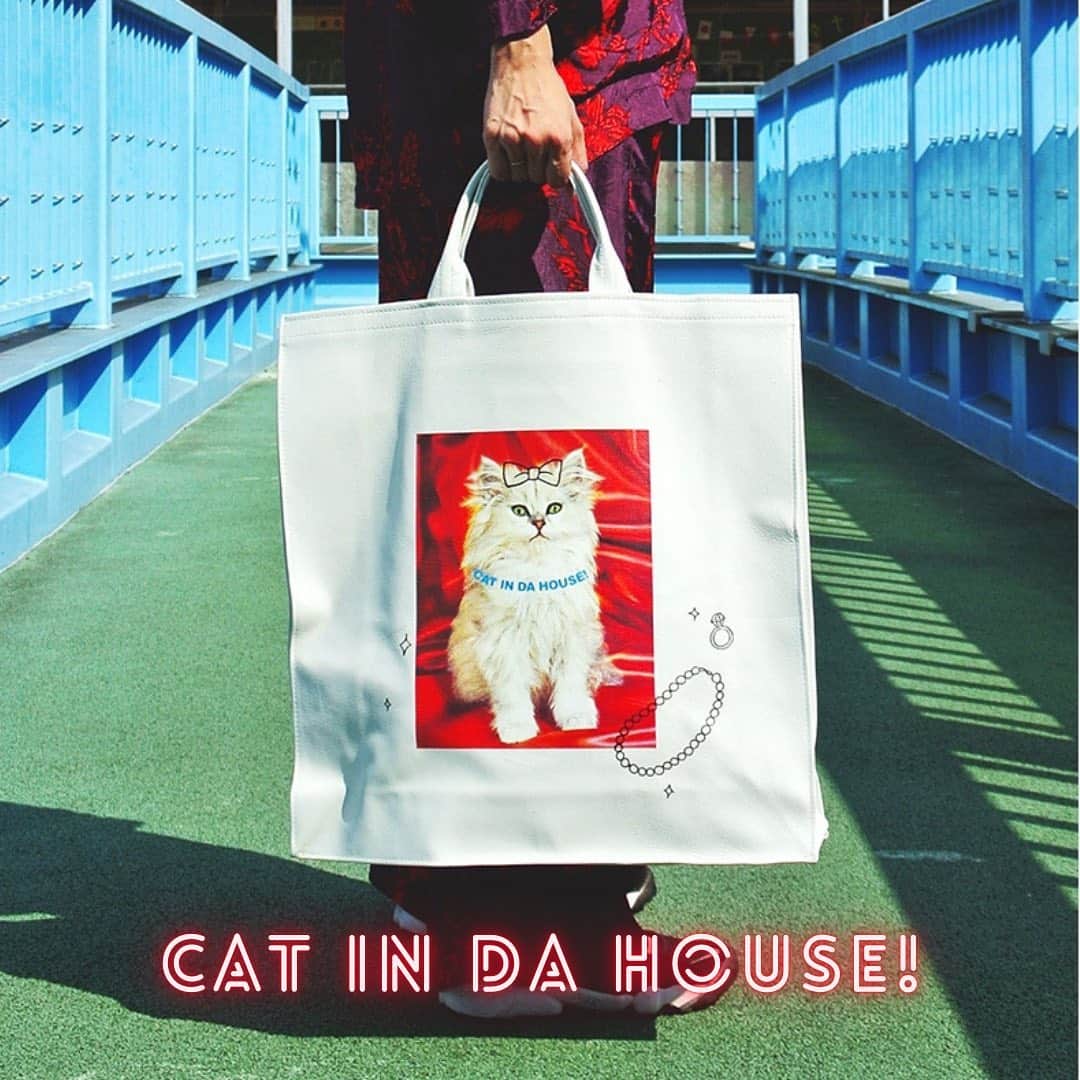 のインスタグラム：「スキーッ！とシンプルな言葉しか浮かばない CAT IN DA HOUSE!さんの新作が入荷です✨一年頑張った自分と、一年癒しをもたらしてくれたうちのコちゃんに🎁はいかがでしょう？  いつも遊び心に溢れてて、ピリッとスパイスの効いたアイテムたち最高💕ぜひごらんください。  #catindahouse  #catitem #totebag #persiancat」