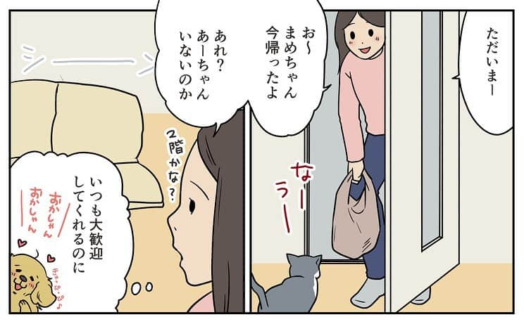 餅付きなこのインスタグラム：「帰宅時、いつものようなあーちゃんの大歓迎がなかったのでどうしたのかな〜と思ったけれど、ペットカメラの録画を見たらいつも通りのはしゃぎっぷりだったので安心しました☺️ 待ち疲れだったのかな〜。  しゃしんは昨夜のまめちゃんとあーちゃん。最近めっきり冷え込んできたので、同じベッドで仲良くねんねしてます♡仲良し癒されます☺️  #漫画 #イラスト #犬漫画 #絵日記 #エッセイ漫画 #コミックエッセイ#マンガ #日常漫画 #ゴールデンレトリバー #goldenretriever #ゴールデンレトリーバー #犬と生活 #4コマ漫画 #犬 #dog #dogstagram #instadog #わんこ #ふわもこ部 #いぬ #ilovemydog #いぬのきもち #大型犬 #大型犬のいる生活 #まめとアーティ #餅付きなこ #おさんぽですし！」