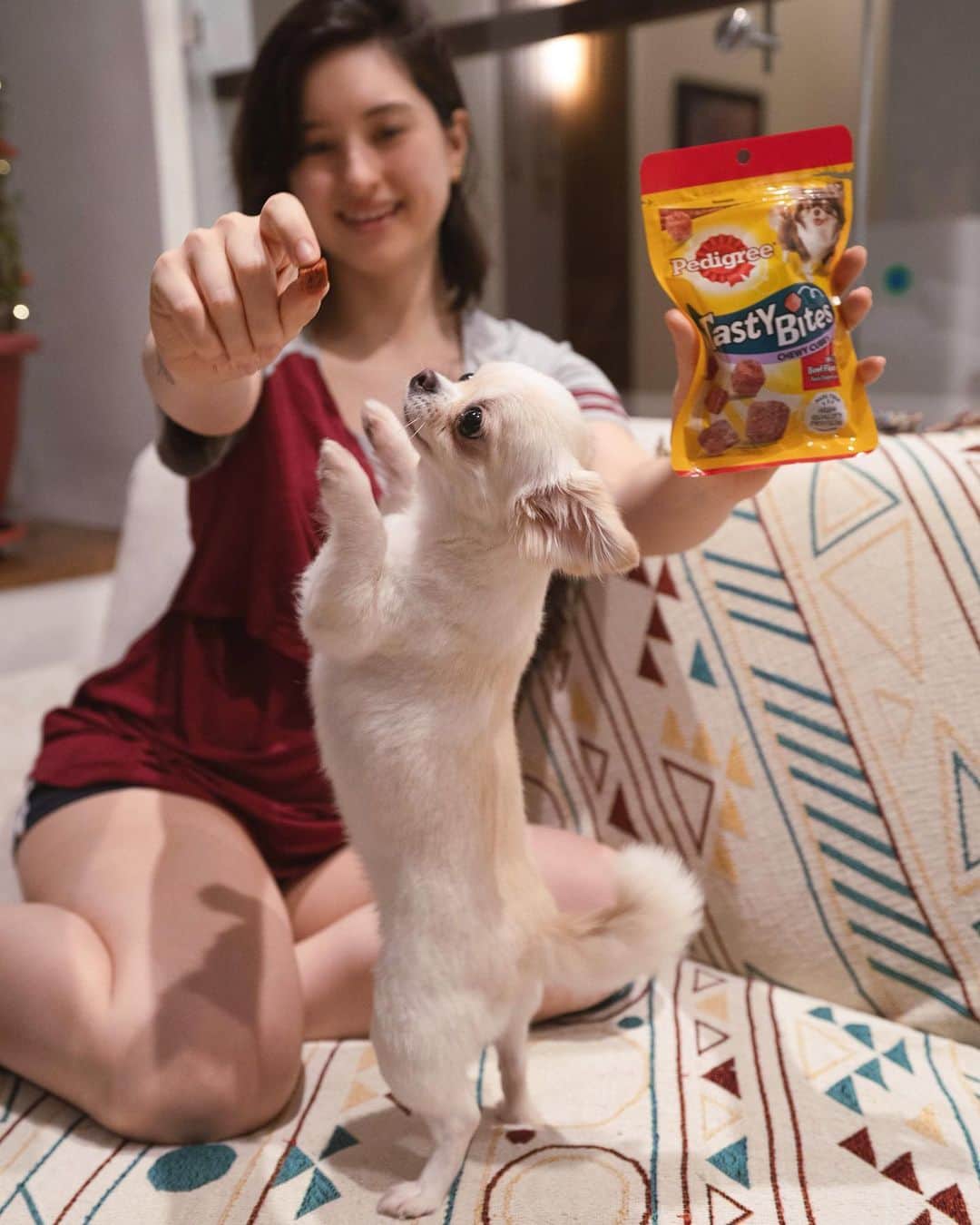Coleen Garciaさんのインスタグラム写真 - (Coleen GarciaInstagram)「Christmas is coming, and I know exactly what @ms.tamomo wants me to get her! I just have to bring these packs of Pedigree Tasty Bites out, and once she smells them, she goes crazy! 😻 They give her an instant burst of happiness, and they are so irresistible to her!  You can choose from different flavors and textures, whether Crunchy Pocket with Milk or Chicken flavor (they come with 15 essential nutrients!), or Chewy Cube with Beef or Lamb flavor (made from real meat and high in protein!) 🐶 You'll surely find something your dog can enjoy. 😄🎄 Best way to spoil your fur-baby and make sure they also have something waiting for them underneath the Christmas tree!  Available in pet shops and supermarkets, or online from e-commerce! #PedigreeTastyBites #BurstofHappiness」12月18日 18時44分 - coleen
