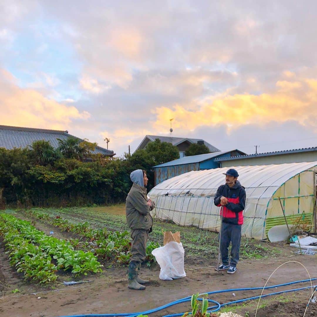 Sunshine Juiceのグルメインスタ