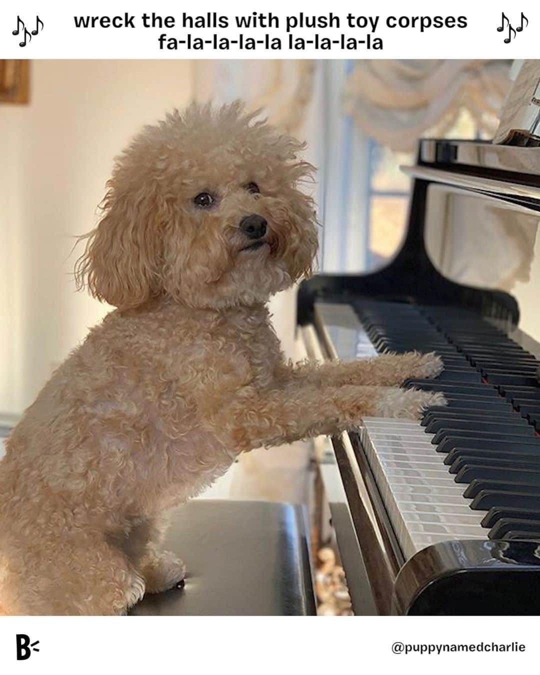 BarkBoxのインスタグラム：「🎶my destruction was remorseless, fa-la-la-la-la-la-la-LA 🎶⁠ ⁠ @puppynamedcharlie」