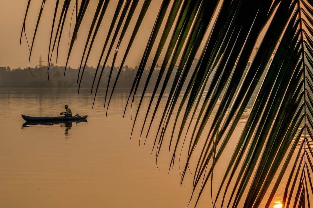 National Geographic Travelさんのインスタグラム写真 - (National Geographic TravelInstagram)「Photos by @francescolastrucci / A man fishes at sunrise in Kerala, India. The traditional rowboat floats in front of the secluded shores of Kakkathuruthu (Island of Crows), a small island on India's largest lagoon, Lake Vembanad. I photographed a series of images of the backwaters immersed in a dreamlike environment: the gradient of the first daylight, the mirroring waters, and the echoes of the chants coming from the surrounding temples.  Follow me @francescolastrucci for more places, daily life, and stories around the world. #india #kerala #landscapephotography #environment」12月19日 4時39分 - natgeotravel