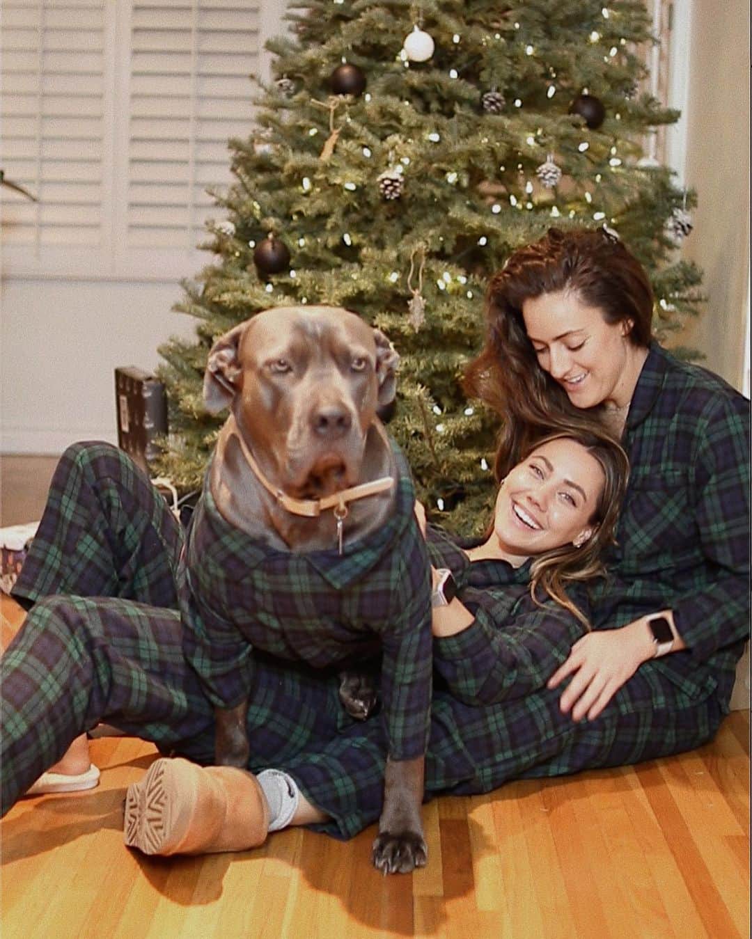 Camden Scottさんのインスタグラム写真 - (Camden ScottInstagram)「Please enjoy our failed attempt at a family Christmas photo」12月19日 5時23分 - cammiescott