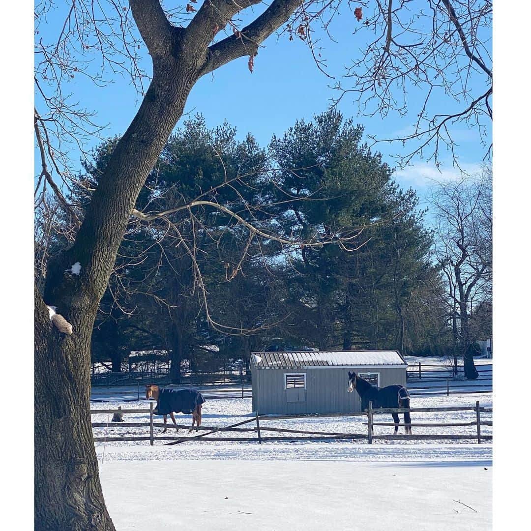 ヨランダ・ハディッドのインスタグラム：「❤️Home sweet home..... #FarmLife」