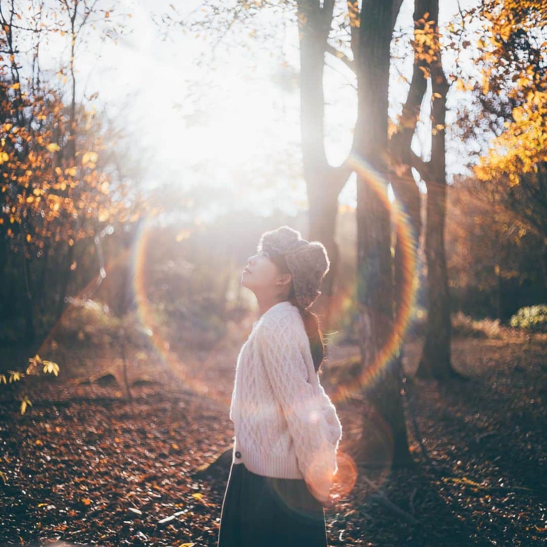 shinichi38のインスタグラム：「﻿ ﻿ Norwegian Wood 🌲﻿ ﻿ ﻿」