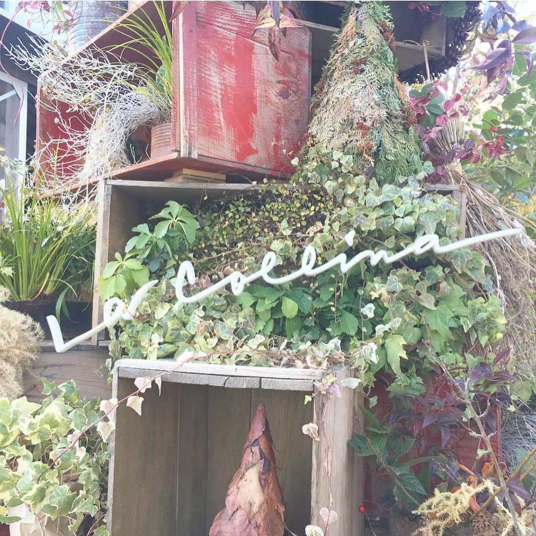 佐藤華純のグルメインスタ