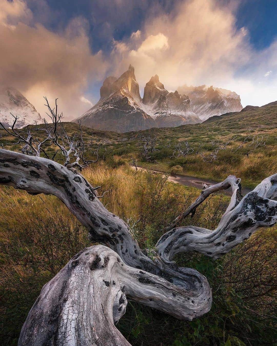 Live To Exploreさんのインスタグラム写真 - (Live To ExploreInstagram)「Patagonia, South America  Video by @iuriebelegurschi  Have you been here?」12月18日 21時20分 - welivetoexplore