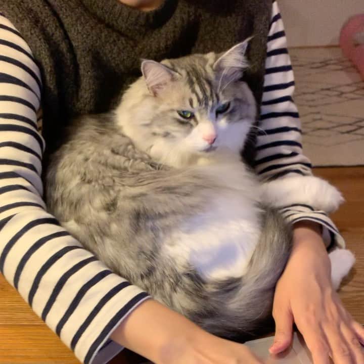 近藤研二のインスタグラム