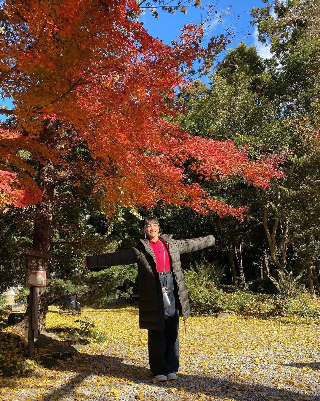 片岡安祐美さんのインスタグラム写真 - (片岡安祐美Instagram)「🍁🍁🍁  #紅葉 #もみじ #綺麗 #ロケ #加工なしでこの綺麗さ」12月18日 21時30分 - ayumi.kataoka_gg.1