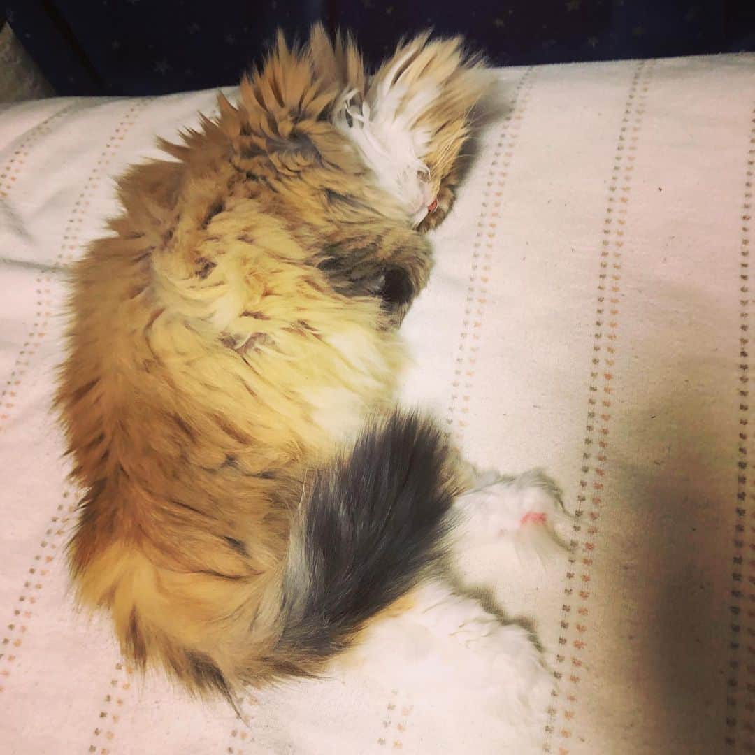 KEIのインスタグラム