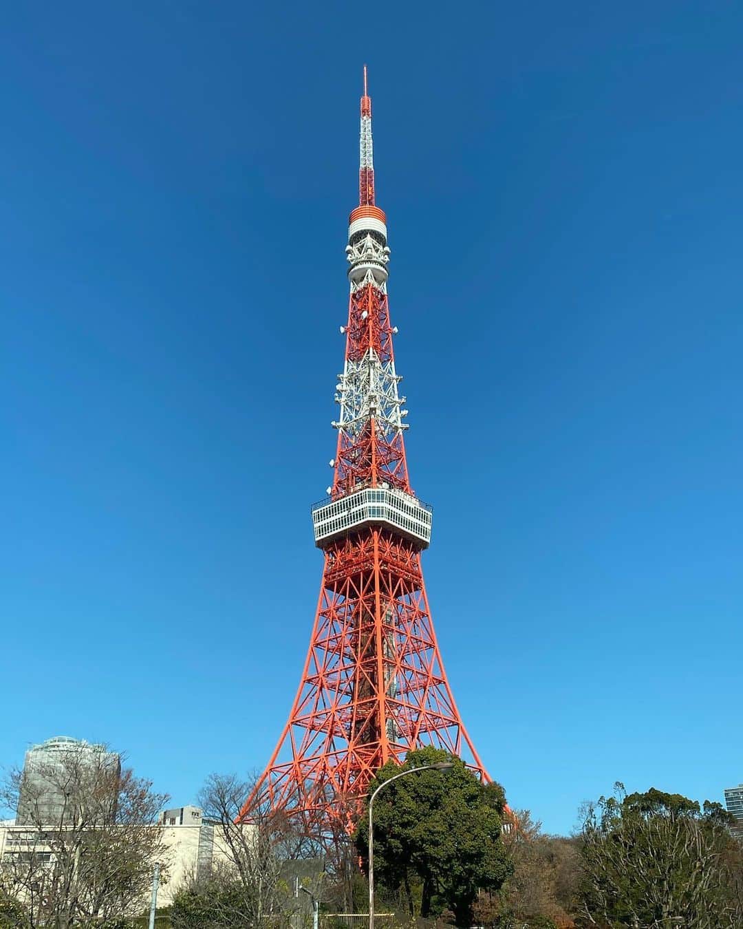 のインスタグラム：「パキッとした冬の空にも映える！#東京タワー #tokyotower」