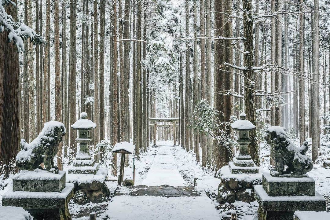 京都いいとこフォトのインスタグラム：「. 京北 賀茂神社 雪が参道を白く染める、神秘的な景色。 .  . . Date : 2020.12.17 Location : #賀茂神社 #京北賀茂神社 #Kamojinja #Kamoshrine Photo : @hino0117 .」