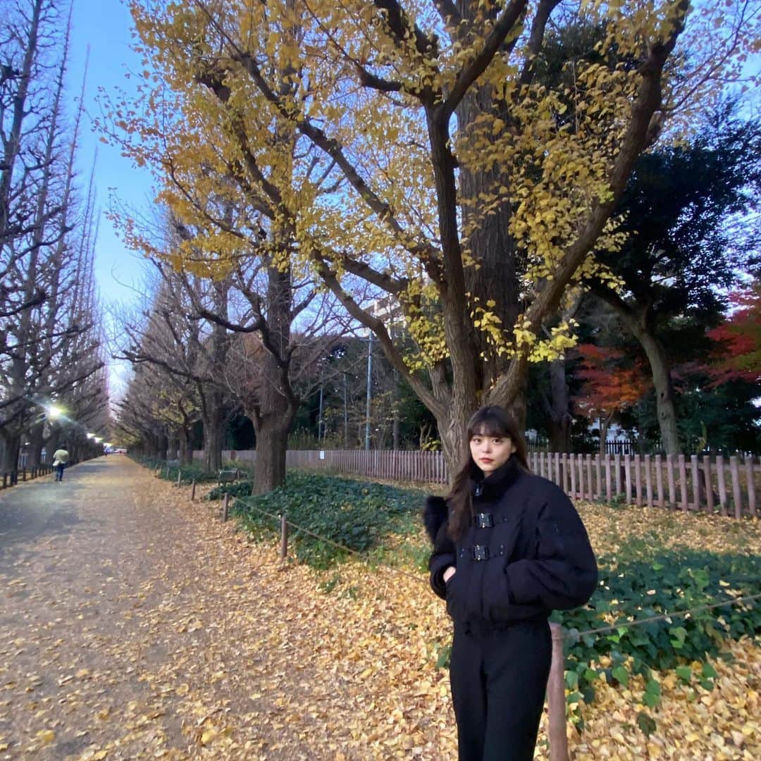 川田明日未のインスタグラム：「少し枯れかけてたけど  #外苑前いちょう並木  #いちょう並木  #ブラックコーデ  #黒 #冬コーデ  #ダウン #ロングヘア」