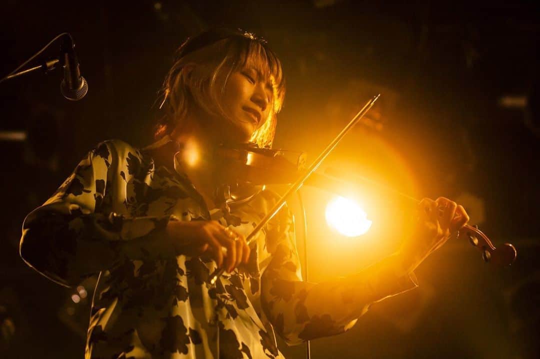 のインスタグラム：「名古屋・大阪 二まわしライブが終わりました🎄🎄 あっという間の幸せな時間を ありがとうございました✨✨ . 続きは24日配信ライブでね🎅🎄 イヴの日に特別に格別なライブ用意してるからね、絶対みてよね❤️  photo by @yusuke_mphoto  . #BIGMAMA #clubquattro  #nagoya #osaka #live #christmas」