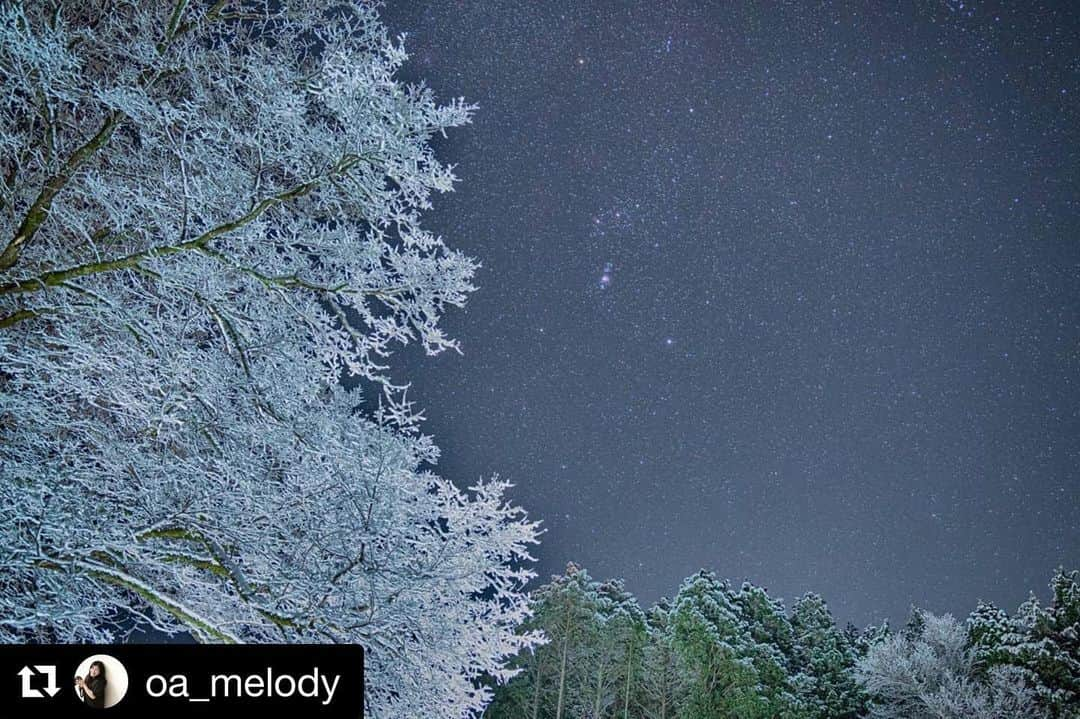 Gero City【下呂市公式アカウント】さんのインスタグラム写真 - (Gero City【下呂市公式アカウント】Instagram)「#Repost @oa_melody with @get_repost 過去ポストより ・・・ ❄雪化粧❄  #ぎふの旅  #いいねぎふ  #再発見ぎふ #ぎふの歴史と文化  #冬 #岐阜県インスタ部  #gifu #岐阜県 #下呂アンバサダー  #gerostagram #下呂市 #山  #欅 #オリオン座 #雪 #雪化粧 #japan_of_insta  #ig_japan #igersjp #love_nippon #loves_nippon #bestjapanpics #japan_night_view #ig_phos  #icu_japan #wp_japan  #12月 #december #tokyocameraclub」12月18日 23時08分 - gerostagram