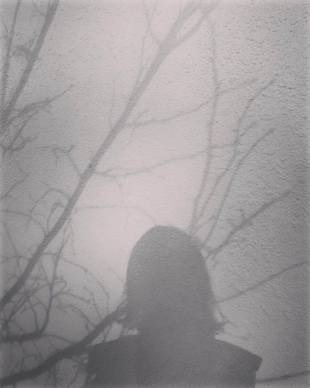 のインスタグラム：「歌ってきました。 音楽は面白い。 皆さまに届く日が楽しみ。」