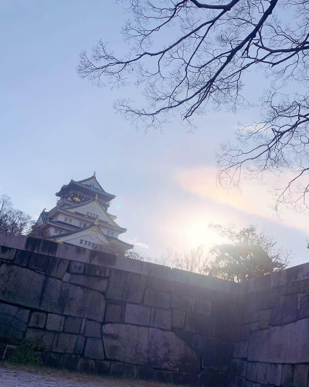 小此木まりさんのインスタグラム写真 - (小此木まりInstagram)「🏯  お城はいつだって かっこいい。  #お城 #城 #大阪城 #🏯」12月19日 0時13分 - mariokonogi