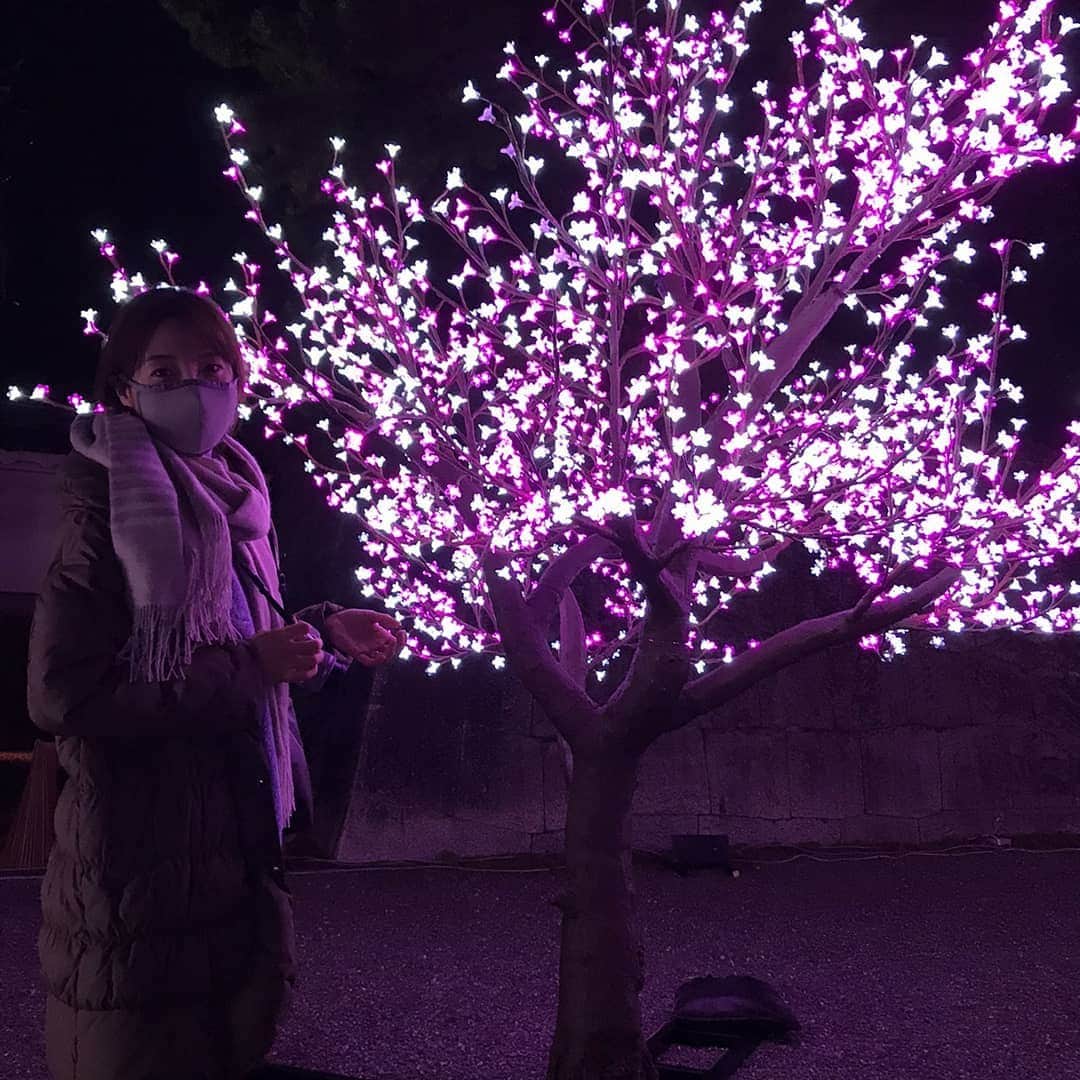 藤原宏美（ひろみん）さんのインスタグラム写真 - (藤原宏美（ひろみん）Instagram)「【今年初開催！京都二条城イルミナージュ】  二条城で開催中のイルミナージュ✨ 先日、内覧会にお邪魔しました😊  テーマは「春夏秋冬～Four Seasons～」  日本の四季や 二条城の歴史などが感じられるように 演出されていて、幻想的でした🎵  詳しくは19日(土) ラジオ大阪「ハッピーカーライフ」で ご紹介しますね🎤  #来年2月21日までの開催 #あたたかくしてお出かけ下さいね  @nijojocastle  #京都二条城イルミナージュ #京都 #二条城 #京都イベント #イルミナージュ #イルミネーション #夜景 #世界遺産 #春夏秋冬 #四季 #日本の四季 #歴史 #kyoto #池坊 #舞妓さん #ラジオ大阪 #ハッピーカーライフ #長寿番組 #ラジオ番組 #ラジオ #radio #radiko #藤原宏美」12月19日 1時44分 - hiromint7