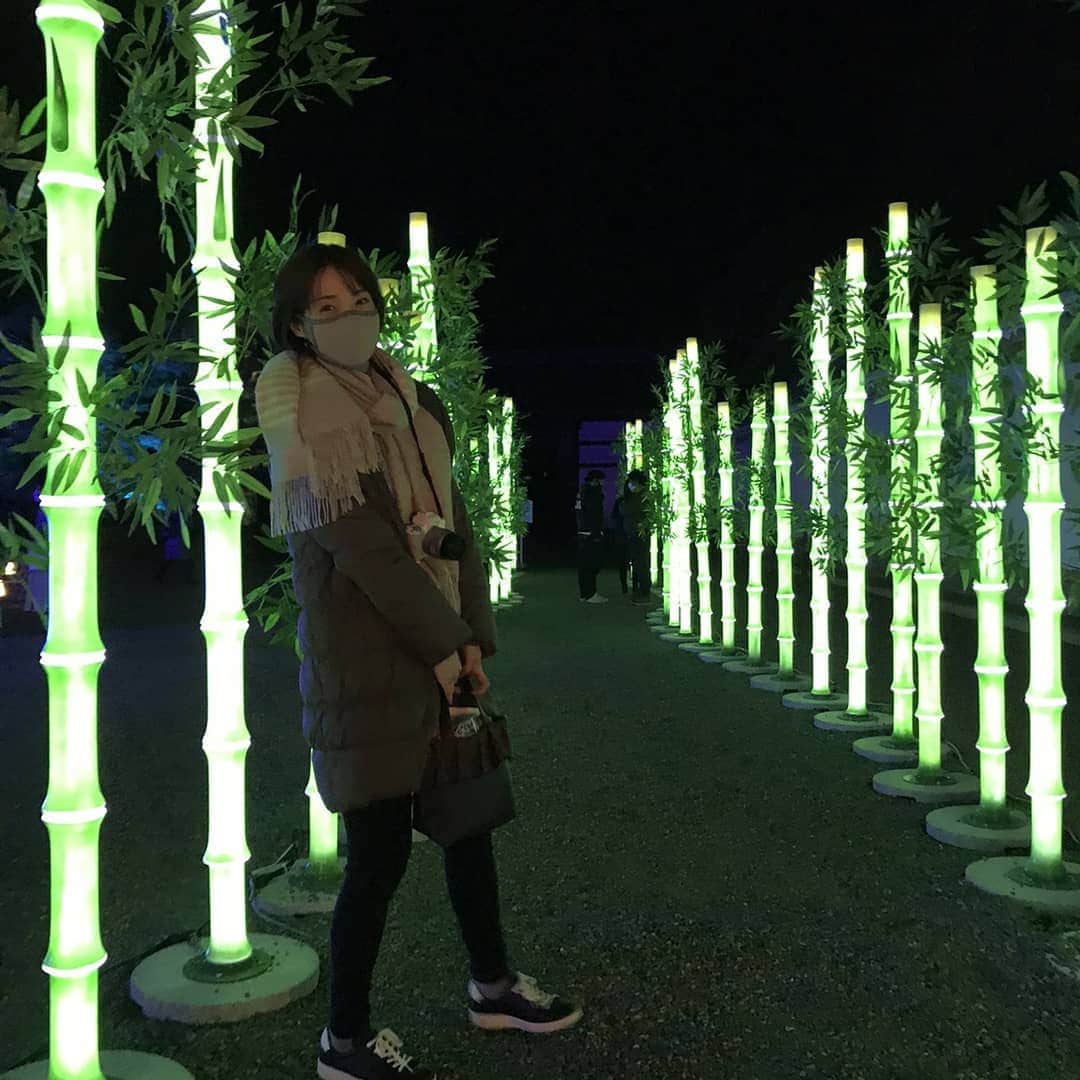 藤原宏美（ひろみん）さんのインスタグラム写真 - (藤原宏美（ひろみん）Instagram)「【今年初開催！京都二条城イルミナージュ】  二条城で開催中のイルミナージュ✨ 先日、内覧会にお邪魔しました😊  テーマは「春夏秋冬～Four Seasons～」  日本の四季や 二条城の歴史などが感じられるように 演出されていて、幻想的でした🎵  詳しくは19日(土) ラジオ大阪「ハッピーカーライフ」で ご紹介しますね🎤  #来年2月21日までの開催 #あたたかくしてお出かけ下さいね  @nijojocastle  #京都二条城イルミナージュ #京都 #二条城 #京都イベント #イルミナージュ #イルミネーション #夜景 #世界遺産 #春夏秋冬 #四季 #日本の四季 #歴史 #kyoto #池坊 #舞妓さん #ラジオ大阪 #ハッピーカーライフ #長寿番組 #ラジオ番組 #ラジオ #radio #radiko #藤原宏美」12月19日 1時44分 - hiromint7