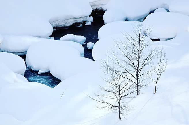 Michael Yamashitaさんのインスタグラム写真 - (Michael YamashitaInstagram)「As I shovel out from 2020’s first big snowstorm that dumped just over a foot of snow in western New Jersey, I  am thinking about last February shooting in Hokkaido, Japan. While my New Jersey neighbors were in a panic in anticipation of the nor'easter barreling toward us, it was business as usual for folks in Hokkaido, the world’s snowiest place, where annual snowfall can average over 200 to 300 inches during the winter season, thanks to frigid Siberian winds crashing into the mountains of northern Japan. Popular Hokkaido ski resorts like Niseko can see up to 500 to 600 inches where snow is expected every day. #winterwonderland #snow #hokkaido #snowscape」12月19日 1時55分 - yamashitaphoto