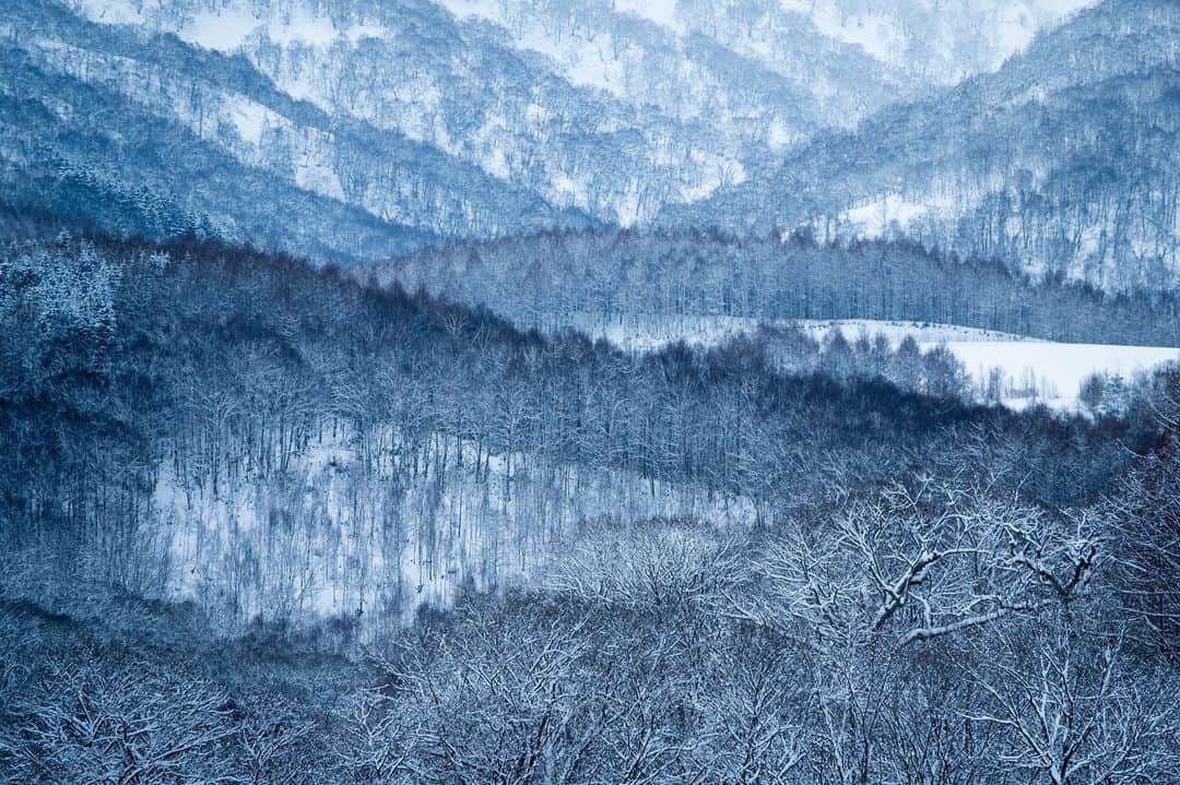 Michael Yamashitaのインスタグラム：「As I shovel out from 2020’s first big snowstorm that dumped just over a foot of snow in western New Jersey, I  am thinking about last February shooting in Hokkaido, Japan. While my New Jersey neighbors were in a panic in anticipation of the nor'easter barreling toward us, it was business as usual for folks in Hokkaido, the world’s snowiest place, where annual snowfall can average over 200 to 300 inches during the winter season, thanks to frigid Siberian winds crashing into the mountains of northern Japan. Popular Hokkaido ski resorts like Niseko can see up to 500 to 600 inches where snow is expected every day. #winterwonderland #snow #hokkaido #snowscape」