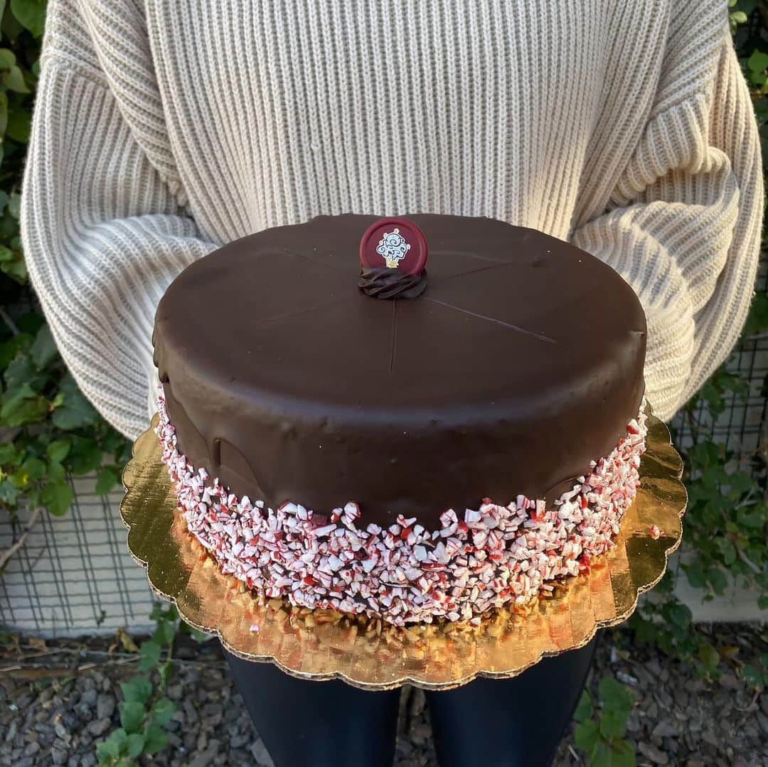 コールド・ストーン・クリーマリーのインスタグラム：「You’ll feel all the holiday spirit with our Candy Cane Lane™ Cake! 🎂  Layers of moist Red Velvet Cake, Dark Chocolate Peppermint Ice Cream with OREO® Cookies wrapped in rich Fudge Ganache and crumbed with Candy Cane Pieces.」