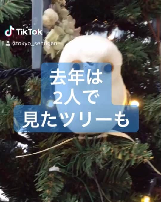 千里眼　東京のインスタグラム