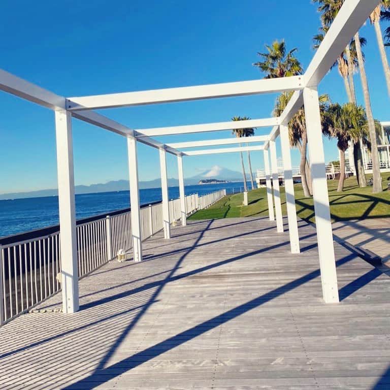 月中秋実のグルメインスタ