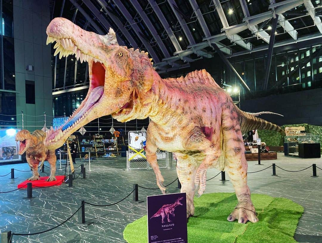新田恵海さんのインスタグラム写真 - (新田恵海Instagram)「『ディノアライブの恐竜たち展』 行ってきました🦖💕  DINO-A-LIVE史上初の展覧会式イベント✨  隅々までリアルに造られていて、生きている瞬間を切り取ったようでした...！  入り口で出迎えてくれるブラキオサウルスも大波力でしたよ🦕  動くユタラプトルにも会えて大満足♪ 次は食べられたいな...🥺  たくさん写真も撮れて、とっても楽しい恐竜空間でした💗  #ディノアライブ #dinoalive  #恐竜と撮ろう」12月19日 14時03分 - tnstagram1210
