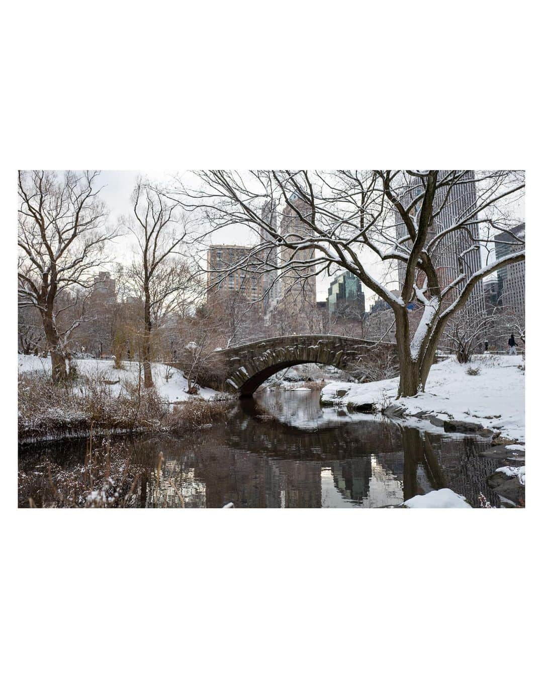 Pete Halvorsenさんのインスタグラム写真 - (Pete HalvorsenInstagram)「Wasn’t able to make my normal trip to NYC for some winter wonderland holiday cheer...so here are a 10 of my favorites from years past.   . Leica Q  1. Red Jackets in Snow always work 2. Central Park in White 3. “Is that a snow background on your Zoom?” 4. Bridges of NY County 5. When you’re the only one out, it’s gotta be cold. 6. Holly at your door… 7. Dogs still gotta be walked…New Yorkers. 8. Heels still have to be worn…New Yorkers. 9. Trees still have to get home…New Yorkers. 10. Taxis still have to be hailed…New Yorkers.」12月19日 14時14分 - petehalvorsen