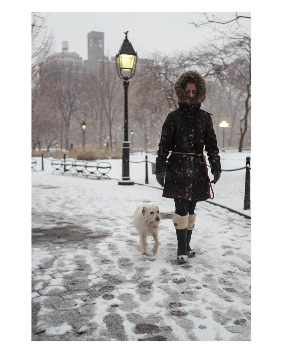 Pete Halvorsenさんのインスタグラム写真 - (Pete HalvorsenInstagram)「Wasn’t able to make my normal trip to NYC for some winter wonderland holiday cheer...so here are a 10 of my favorites from years past.   . Leica Q  1. Red Jackets in Snow always work 2. Central Park in White 3. “Is that a snow background on your Zoom?” 4. Bridges of NY County 5. When you’re the only one out, it’s gotta be cold. 6. Holly at your door… 7. Dogs still gotta be walked…New Yorkers. 8. Heels still have to be worn…New Yorkers. 9. Trees still have to get home…New Yorkers. 10. Taxis still have to be hailed…New Yorkers.」12月19日 14時14分 - petehalvorsen