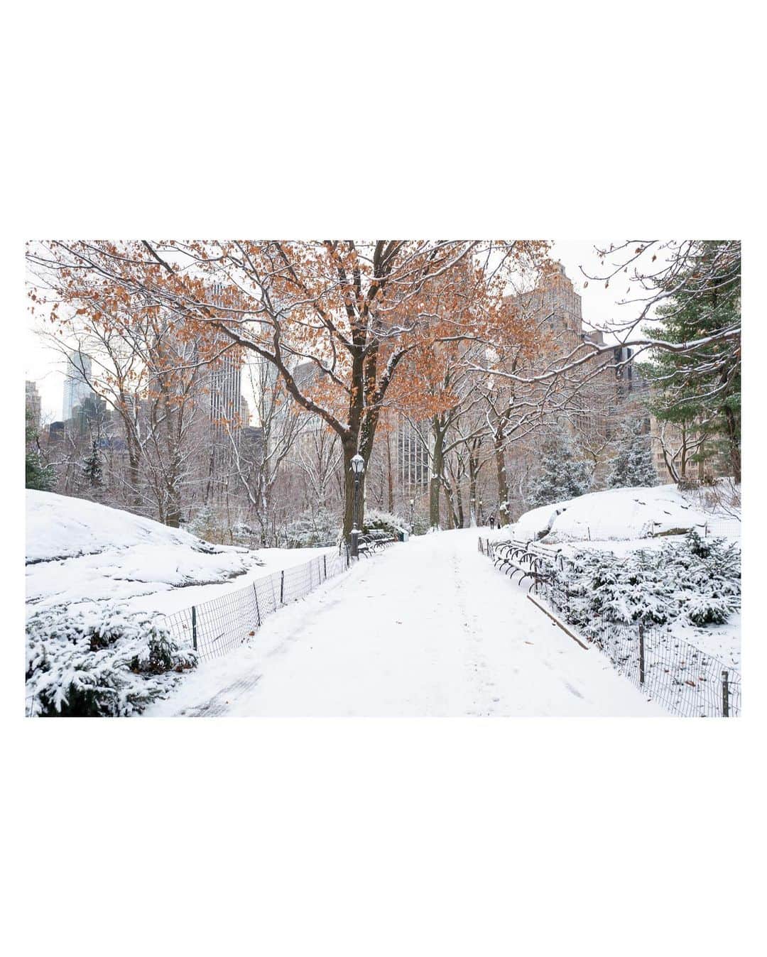 Pete Halvorsenさんのインスタグラム写真 - (Pete HalvorsenInstagram)「Wasn’t able to make my normal trip to NYC for some winter wonderland holiday cheer...so here are a 10 of my favorites from years past.   . Leica Q  1. Red Jackets in Snow always work 2. Central Park in White 3. “Is that a snow background on your Zoom?” 4. Bridges of NY County 5. When you’re the only one out, it’s gotta be cold. 6. Holly at your door… 7. Dogs still gotta be walked…New Yorkers. 8. Heels still have to be worn…New Yorkers. 9. Trees still have to get home…New Yorkers. 10. Taxis still have to be hailed…New Yorkers.」12月19日 14時14分 - petehalvorsen