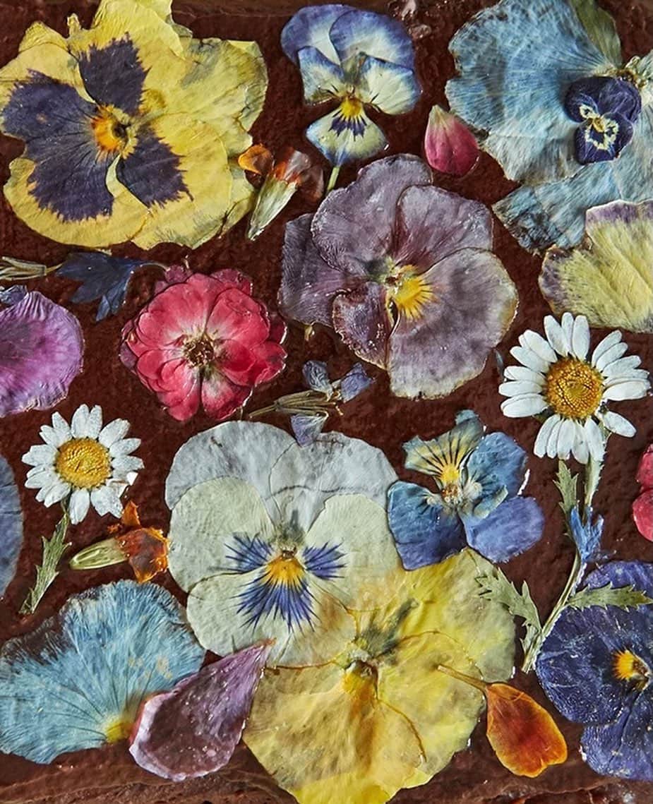チャンルーのインスタグラム：「@loriastern Floral Vegan Brownies 🌸🍫🌼 We sat down with Chef Loria to talk baking, business and brownies. Tap link in bio to read more!」