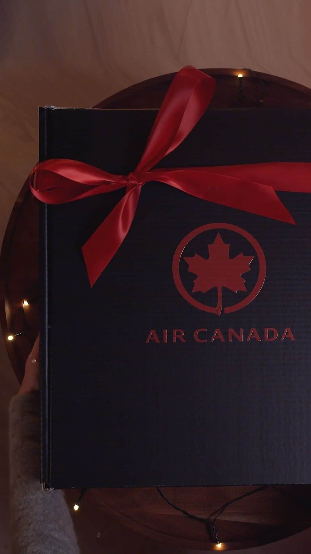 AIR CANADAのインスタグラム