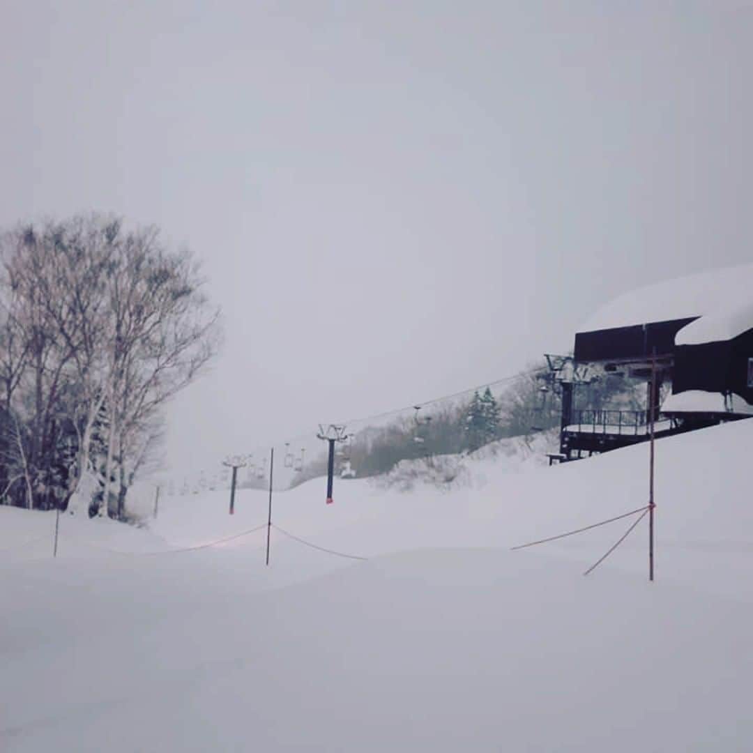 栂池高原スキー場さんのインスタグラム写真 - (栂池高原スキー場Instagram)「おはようございます！ 栂池高原スキー場朝の情報です。 天候　雪  気温　-４℃ 積雪  170cm 風速　4m/h 前日から23㎝以上積もりました！！ 今日は絶好のパウダー日和ですよ☺️ #栂池高原 #パウダー #フリースキー #スノボー #tsugaike #hakubavalley」12月19日 7時35分 - tsugaike_kogen