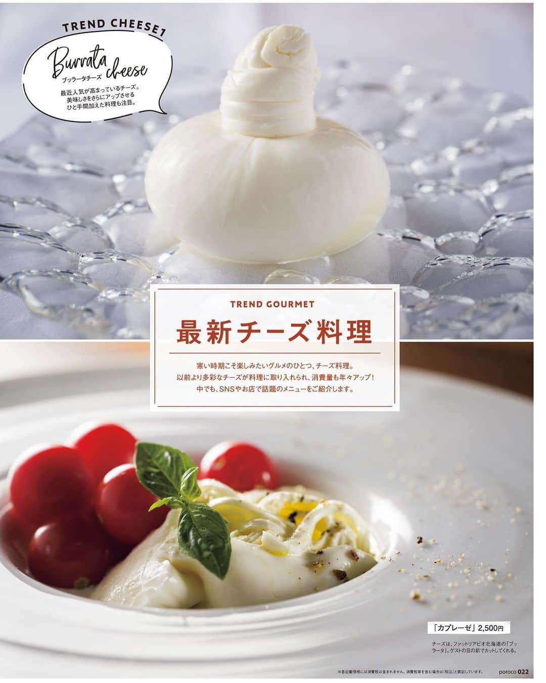 poroco（ポロコ）さんのインスタグラム写真 - (poroco（ポロコ）Instagram)「本日発売！poroco1月号「夢中になるチーズ」🧀✨  この季節に食べたい、みんなが好きなチーズ料理の特集。 実はporocoでも大々的に取り上げるのは今回が初めてです。  「チーズ」は世界各地で様々なタイプがあり、料理としても数えきれないほど使われている奥深い食材。 今回は、最新チーズ料理から本格的なもの、日頃食べる機会の多い人気メニューまで、美味しいチーズを徹底的に選びました。 スイーツ好きが選んだチーズケーキに、porocoコラボ チーズパン＆ベイク、自宅で簡単にできるナチュラルチーズレシピも。 さらに、年々評価を上げている注目の北海道産チーズもご紹介しています。 チーズ好き必見！今よりもっと好きなチーズに出合える一冊です。  #poroco #チーズ #チーズグルメ #チーズ料理 #ナチュラルチーズ #ブルーチーズ #チェダーチーズ #ブッラータ #チーズバーガー #チーズカレー #チーズトースト #チーズパスタ #チーズリゾット #チーズハンバーグ #ピッツァ #ピザ #チーズケーキ #バスクチーズケーキ #チーズティー #札幌グルメ #札幌ランチ #札幌ディナー #札幌スイーツ #札幌カレー #札幌cafe #札幌カフェ #札幌 #sapporo #ポロコ #🧀」12月19日 7時53分 - poroco_magazine