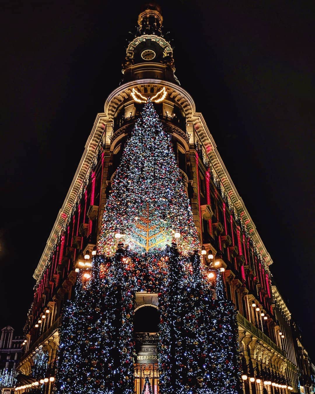 Guido Gutiérrez Ruizのインスタグラム：「Christmas gem • Joya de #Navidad  ✨🎄@fsmadrid」
