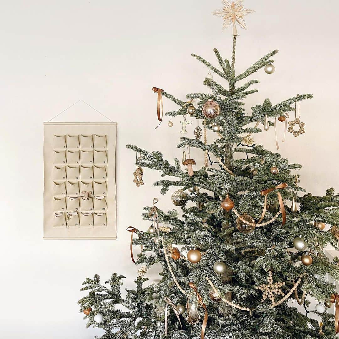 ケリー・マレーのインスタグラム：「Love our quirky little tree we found this year. How do we only have 6 days left til Christmas you guys!!? 🤯」