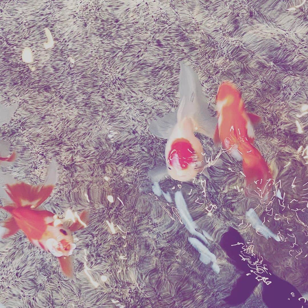 中野敬久のインスタグラム