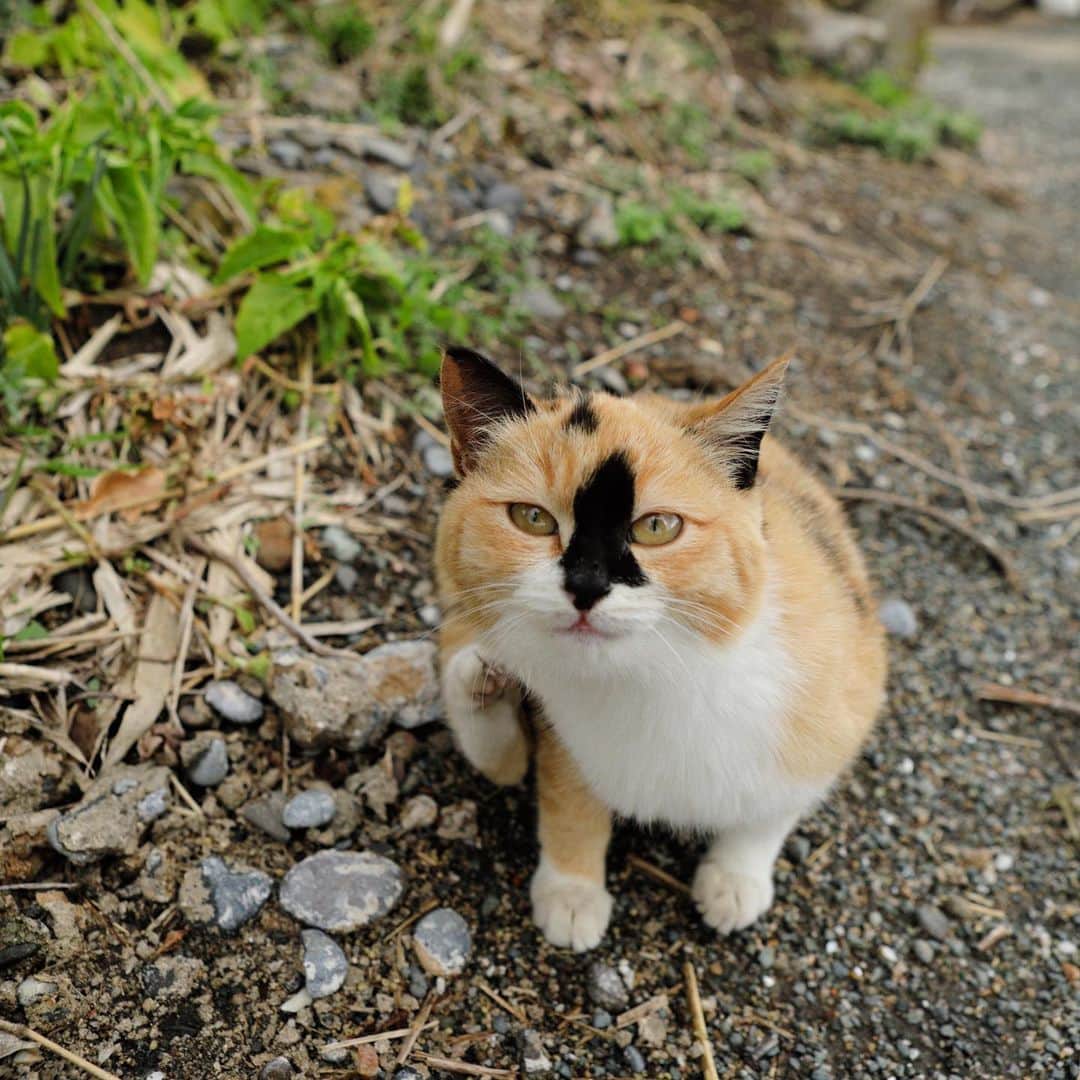 ををつかのインスタグラム