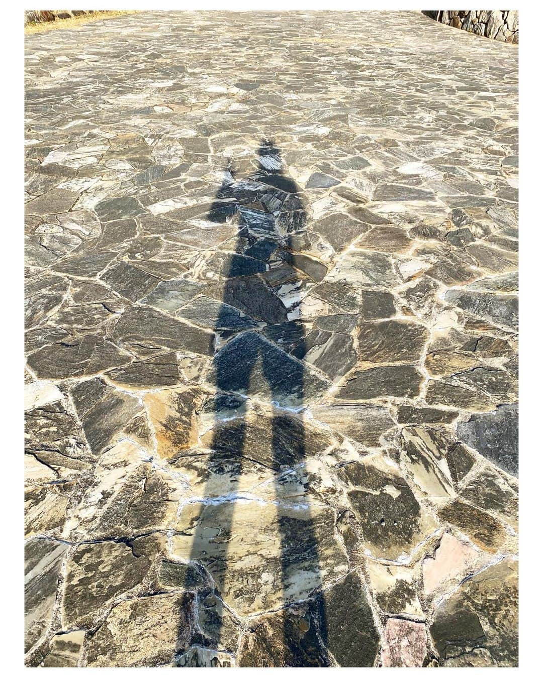 吉竹史のインスタグラム