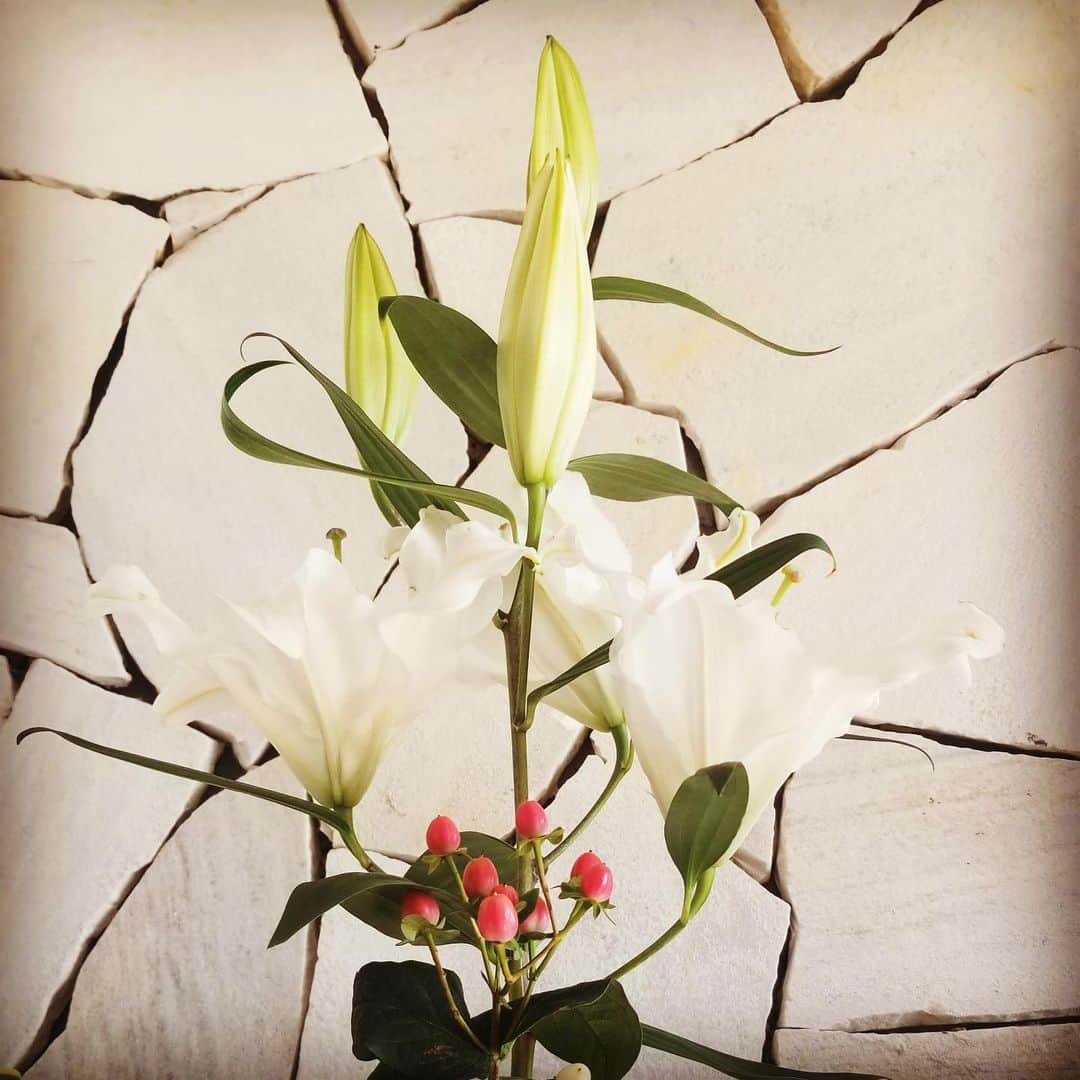 前田真里さんのインスタグラム写真 - (前田真里Instagram)「#flowers #百合 #玄関 の風景」12月19日 9時28分 - maedamari