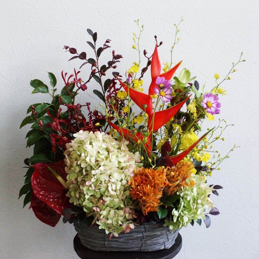 MILLE ECLAT.のグルメインスタ