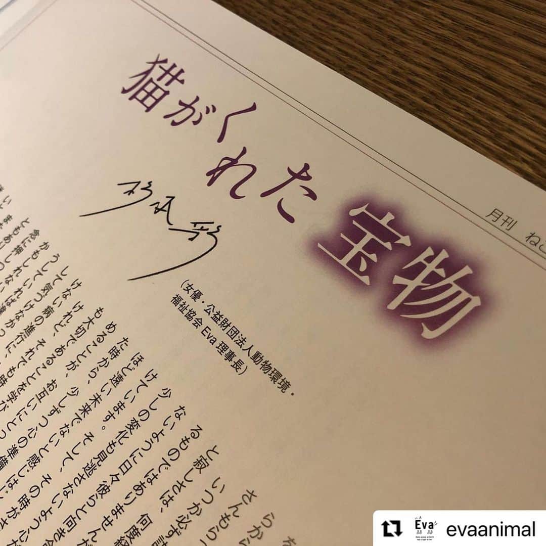 杉本彩のインスタグラム：「#Repost @evaanimal with @make_repost ・・・ 月刊「ねこ新聞」さんに寄稿いたしました。  「ねこ新聞」さんは、創刊26年。  今回は「猫がくれた宝物」として黒猫さくらの話しを綴りました。  #ねこ新聞  #ねこ新聞大好き  #杉本彩」