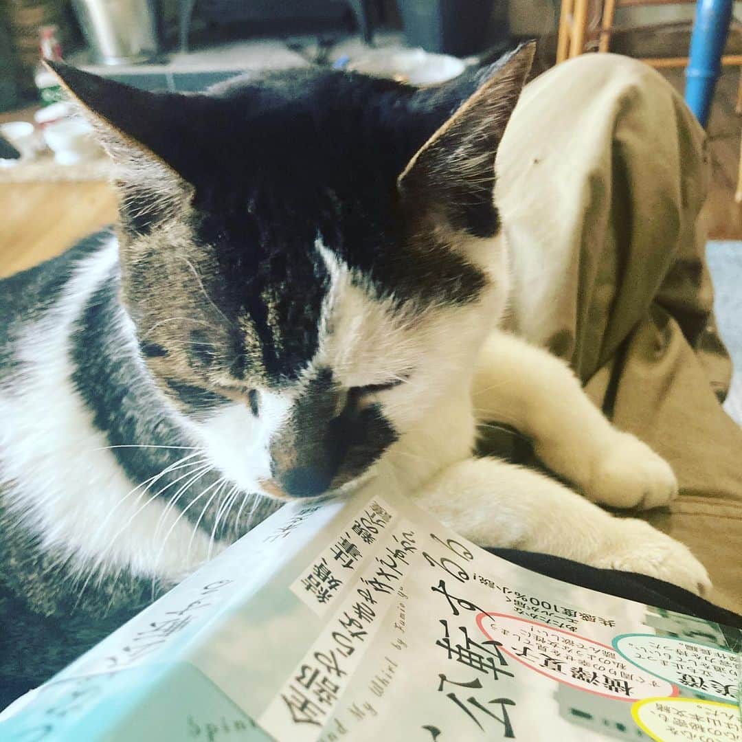 井上荒野のインスタグラム：「読書タイム。膝に乗ってきて本の角にスリスリスリスリしてじゃまする猫。もうすぐ読み終わるのは今話題の、山本文緒さん「自転しながら公転する」、おーもーしーろーいー！」