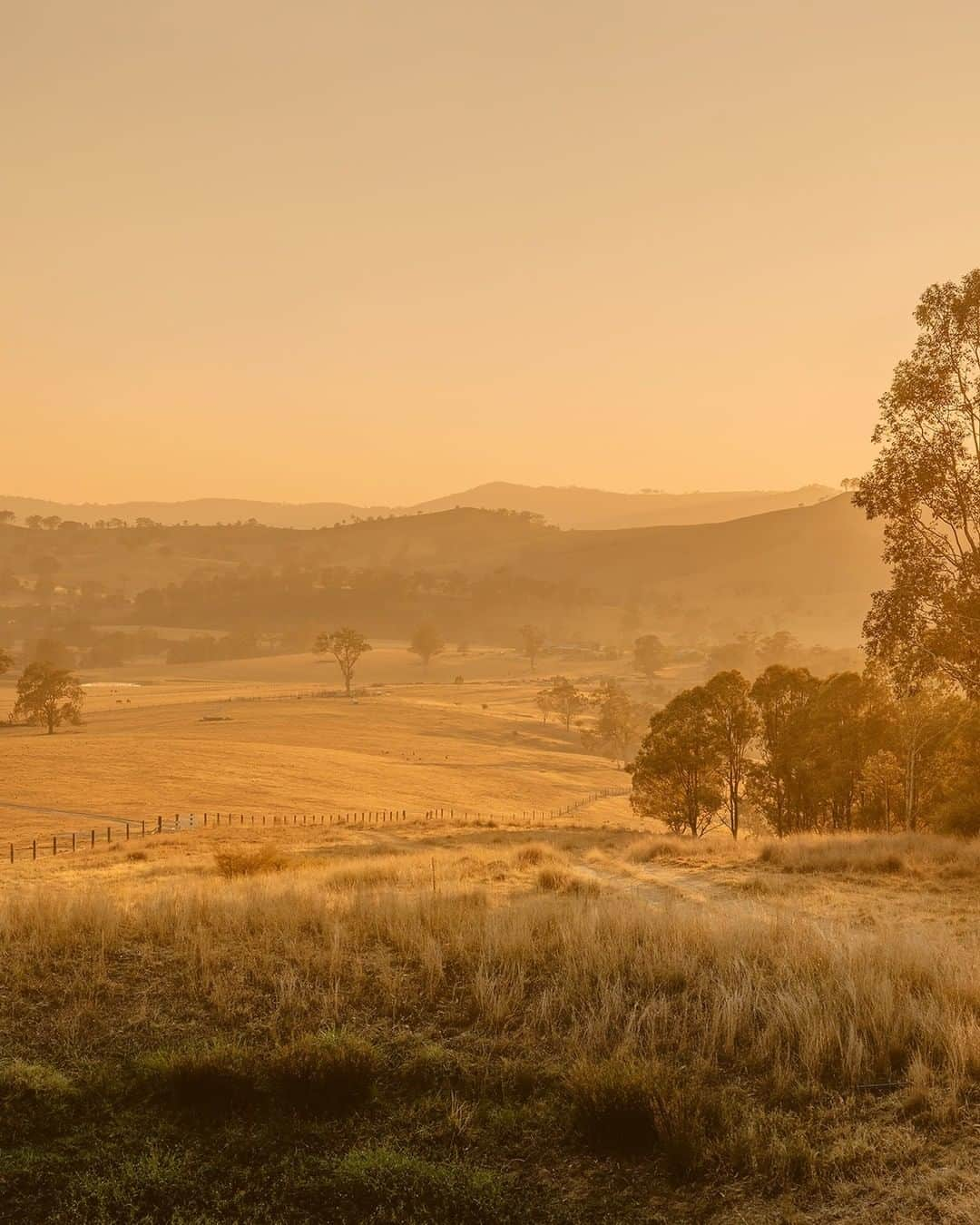 Nikon Australiaさんのインスタグラム写真 - (Nikon AustraliaInstagram)「"Here’s to getaways in our own backyard. So many incredible places, and Boydell's glamping safari tent is one of them. So worth the early morning to catch this spectacular sunrise.   I have really enjoyed capturing the wonder of Australia through visual storytelling. Documenting lifestyle moments and new adventures." - @domcherry   Camera: Nikon Z 6 Lens: NIKKOR Z 50mm f/1.8 S  #Nikon #MyNikonLife #NikonAustralia #NikonZ6 #Z6 #LifestylePhotography #TravelPhotography #Glamping」12月19日 11時01分 - nikonaustralia