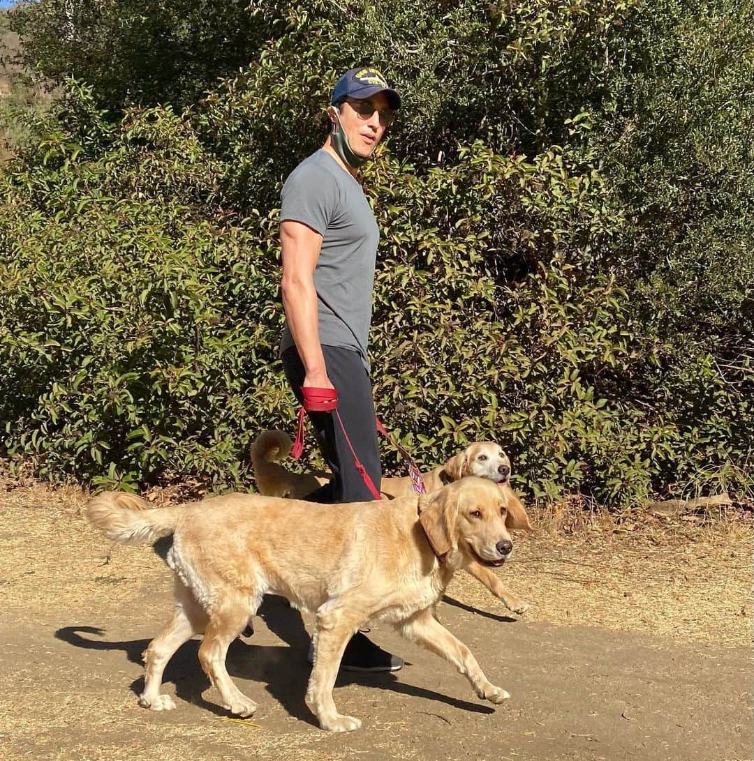 ダニエル・ヘニーさんのインスタグラム写真 - (ダニエル・ヘニーInstagram)「Golden hikes 🌞🌞」12月19日 11時07分 - danielhenney