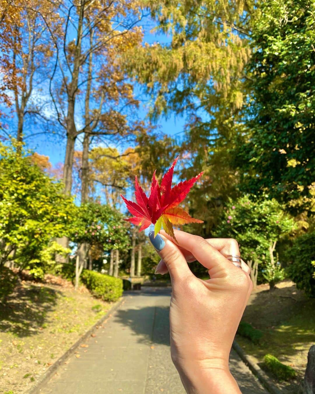 SAORIさんのインスタグラム写真 - (SAORIInstagram)「🧡💛🧡 秋が終わると あっという間に冬☃ Have a nice weekend 💛 さおりは今日も仕事です💻泣 ✾ #東京 #tokyo #港区 #高身長女子 #model #モデル #influencer #インフルエンサー #instagramer #インスタグラマー #ambassador #アンバサダー #フリーモデル #ポートレートモデル #カメラマンさんと繋がりたい #ポトレ #ポトレのセカイ #ビジョラダ #美女jp #ビジョフォ #ビジョナビ」12月19日 11時15分 - saogram34